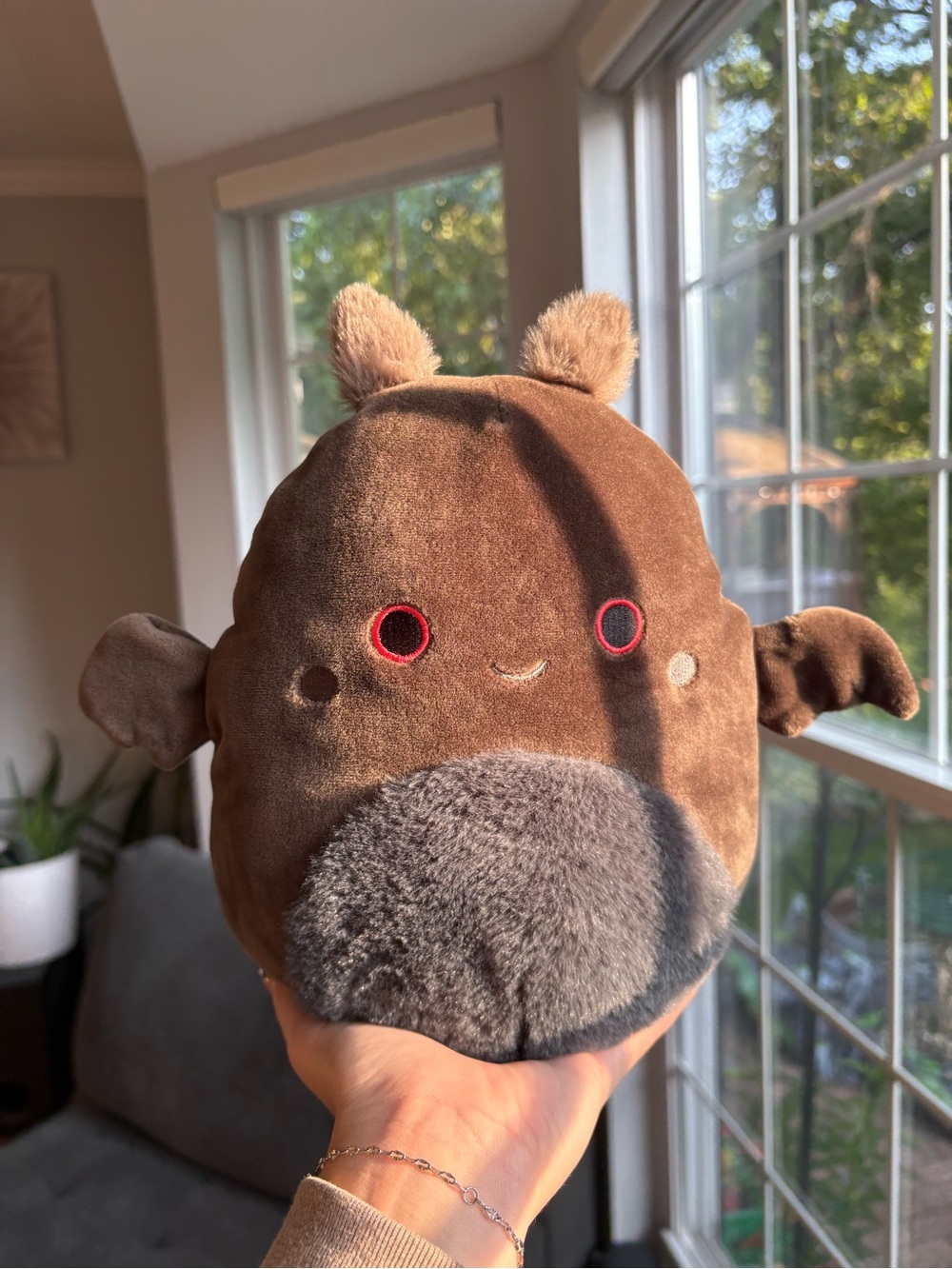 Perkins the black moth bat squishmallow NWOT 8in
